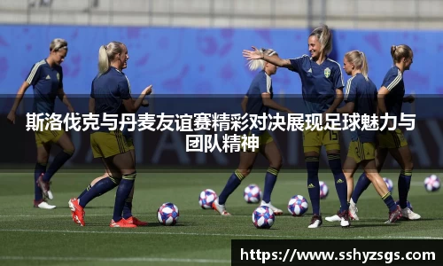 斯洛伐克与丹麦友谊赛精彩对决展现足球魅力与团队精神